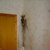 Einsatz Schornsteinbrand 30.01.2006