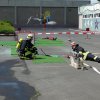 Kreisentscheid 02.06.2012