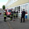 Kreisentscheid 02.06.2012