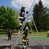 Kreisentscheid 25.05.2013