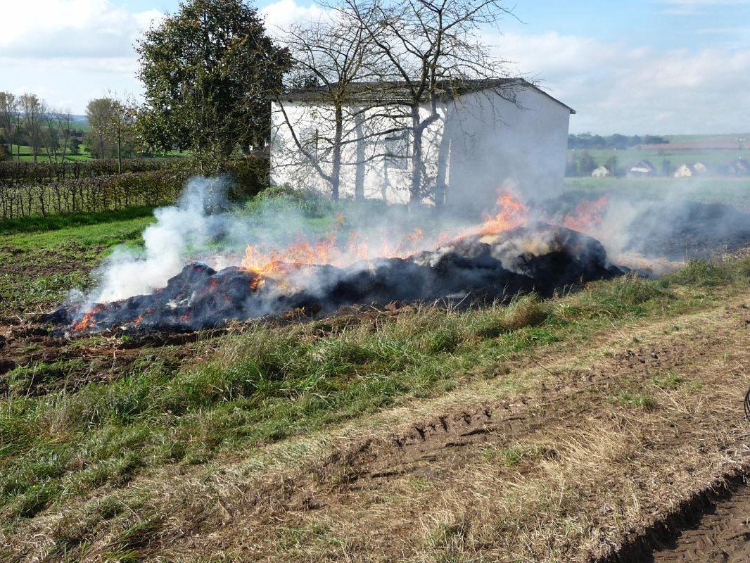 Einsatzübung Flächenbrand 18.10.2014