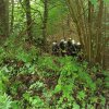 Einsatzübung Wald 29.07.2015 in Rückershausen