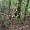 Einsatzübung Wald 29.07.2015 in Rückershausen