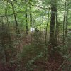 Einsatzübung Wald 29.07.2015 in Rückershausen